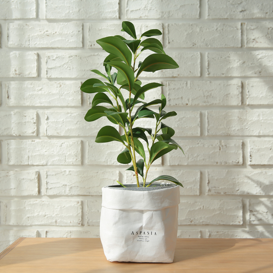 베리타스 크루시아 미니조화나무-실내인테리어,조화식물,화분,인조나무