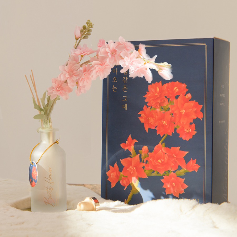 월간생일화지음 Ver.02 - 11월의꽃 칼랑코에 생일화 알러지프리 디퓨저+선물포장+쇼핑백