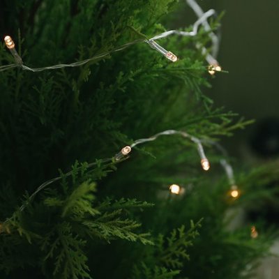 아스파시아 크리스마스 투명선 LED 전구 80구-크리스마스전구,조명,인테리어소품