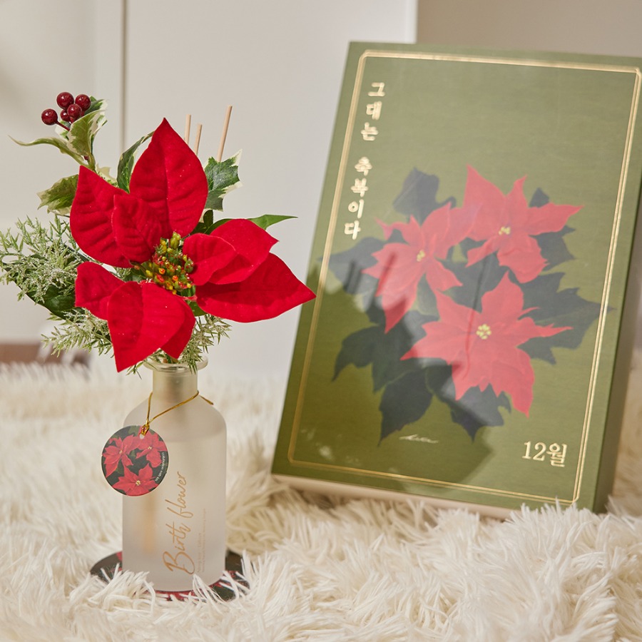 월간생일화지음 Ver.02 - 12월의꽃 포인세티아 생일화 알러지프리 디퓨저+선물포장+쇼핑백